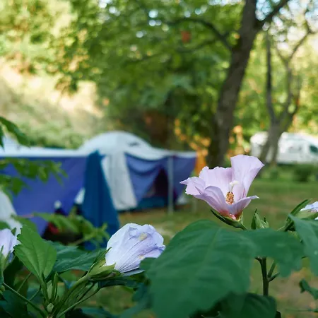 Oeko-park Panzio, Es Rendezvenykoezpont 3*