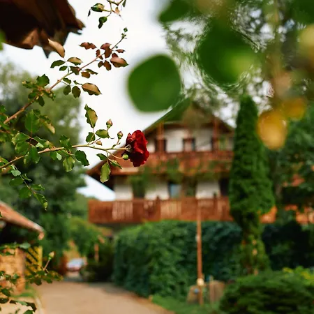 Holiday park Oeko-park Panzio, Es Rendezvenykoezpont 3*