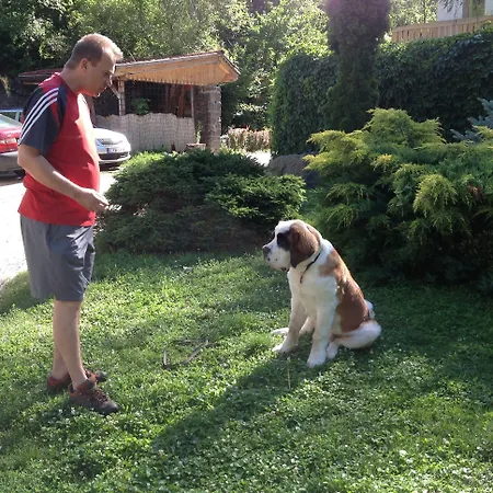 Oeko-park Panzio, Es Rendezvenykoezpont Szarvasko