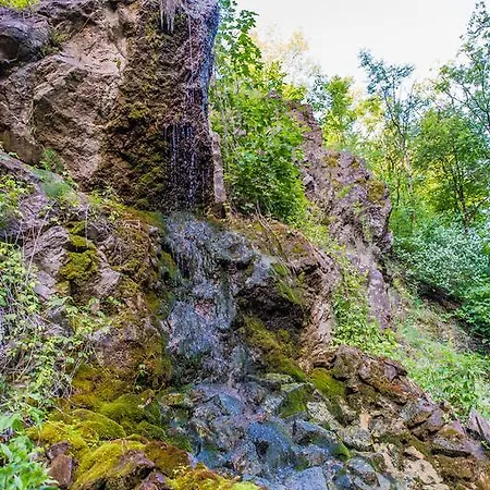 Oeko-park Panzio, Es Rendezvenykoezpont Feriepark 3*