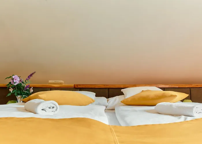 öko-park® Panzió-kemping és Kalandpark 3* Szarvaskő