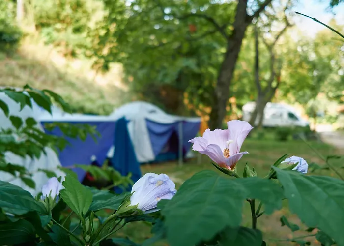öko-park® Panzió-kemping és Kalandpark 3*