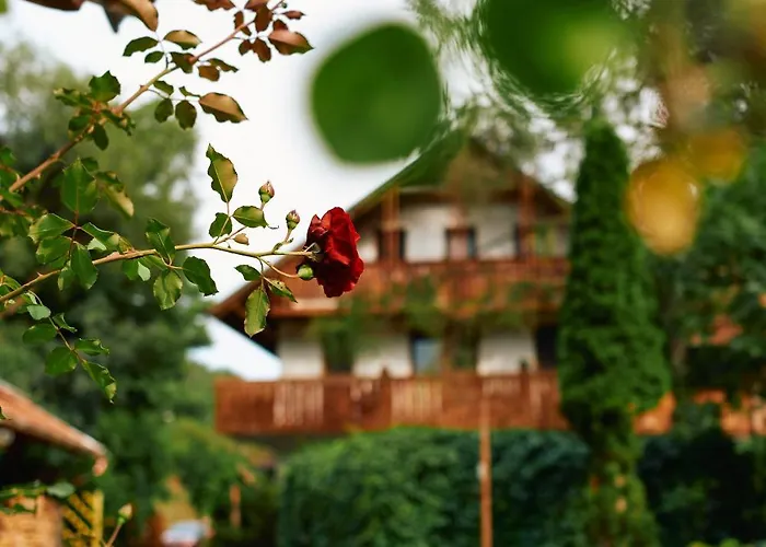 Üdülőpark öko-park® Panzió-kemping és Kalandpark 3*