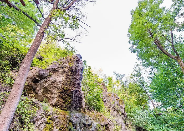 öko-park® Panzió-kemping és Kalandpark