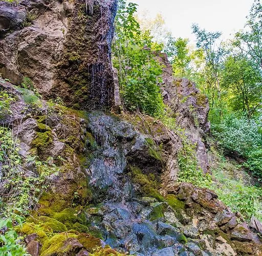 öko-park® Panzió-kemping és Kalandpark Üdülőpark 3*